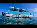 Snorkel adventure with Silent World Dive Center in Key Largo