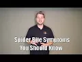 Spider Bite Symptoms You Should Know