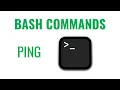 Bash Commands - ping command