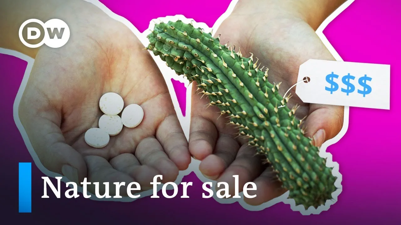 Biopiracy: How companies are buying up nature