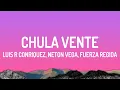 Luis R Conriquez Neton Vega Fuerza Regida - Chula Vente