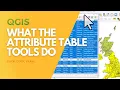 What the attribute table buttons do in QGIS