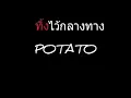 ทิ้งไว้กลางทาง | POTATO