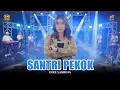 Download Lagu DIKE SABRINA - SANTRI PEKOK | Feat. OM SERA ( Official Music Video )