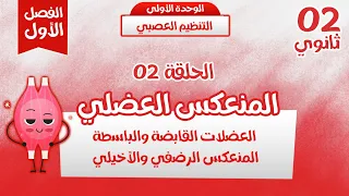 ثانية ثانوي الحلقة 2 مفهوم المنعكس العضلي ابسط شرح من الالف الى الياء 