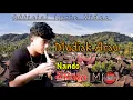 Download Lagu Mudiak Arau(Si Sutan Mudo) - Nando Satoko || Official Lyric Video