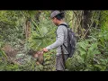 Download Lagu 5 Hari berburu dihutan rawa gunung dan sungai!!!!! #KOOKIKO