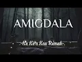 Download Lagu Ku Kira Kau Rumah - AMIGDALA (tiktok version)