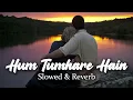Download Lagu Hum Tumhare Hain Sanam ( Udit Narayan, Anuradha Paudwal ) | Slowed And Reverb | Reverb World