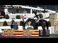 Laurel Park 2025-11-1 REPLAY SHOW