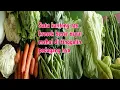 Download Lagu NGEKES SAYUR SULTAN SATU TAS KRESEK BESAR DI BUANG PEDAGANG NYA