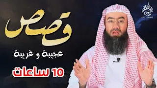 إستمع إلى عشر ساعات من القصص المشوقة و الغريبة قصص ذات عبرة نبيل العوضي أروع القصص 