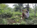 Download Lagu BUKA LAHAN BARU‼️TERKEJUT.. BIKIN JANTUNGAN TERNYATA ADA PENGHUNINYA