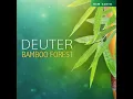 Hollow Bamboo 2