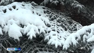 Февраль в Омской области начался с морозов