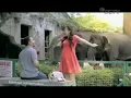Iklan Neo napacin - gajah 🐘 (04 Febuari 2015) SCTV 