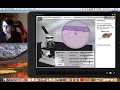 How to Use Cell Types Gizmo