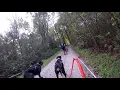 Dog scooter training with a Dobermann