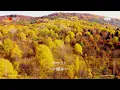 Happy Day 🍂 Cozy Autumn Song that make you feel better mood| Indie/Folk/Pop/Acoustic Playlist