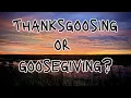 19 Geese in the California Delta California Duck Hunting 2024