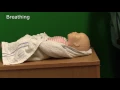 Neonatal Resuscitation - Demonstration