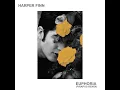 Euphoria (Pirapus Remix)