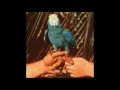 Andrew Bird - Valleys Of The Young  (Are You Serious 2016)