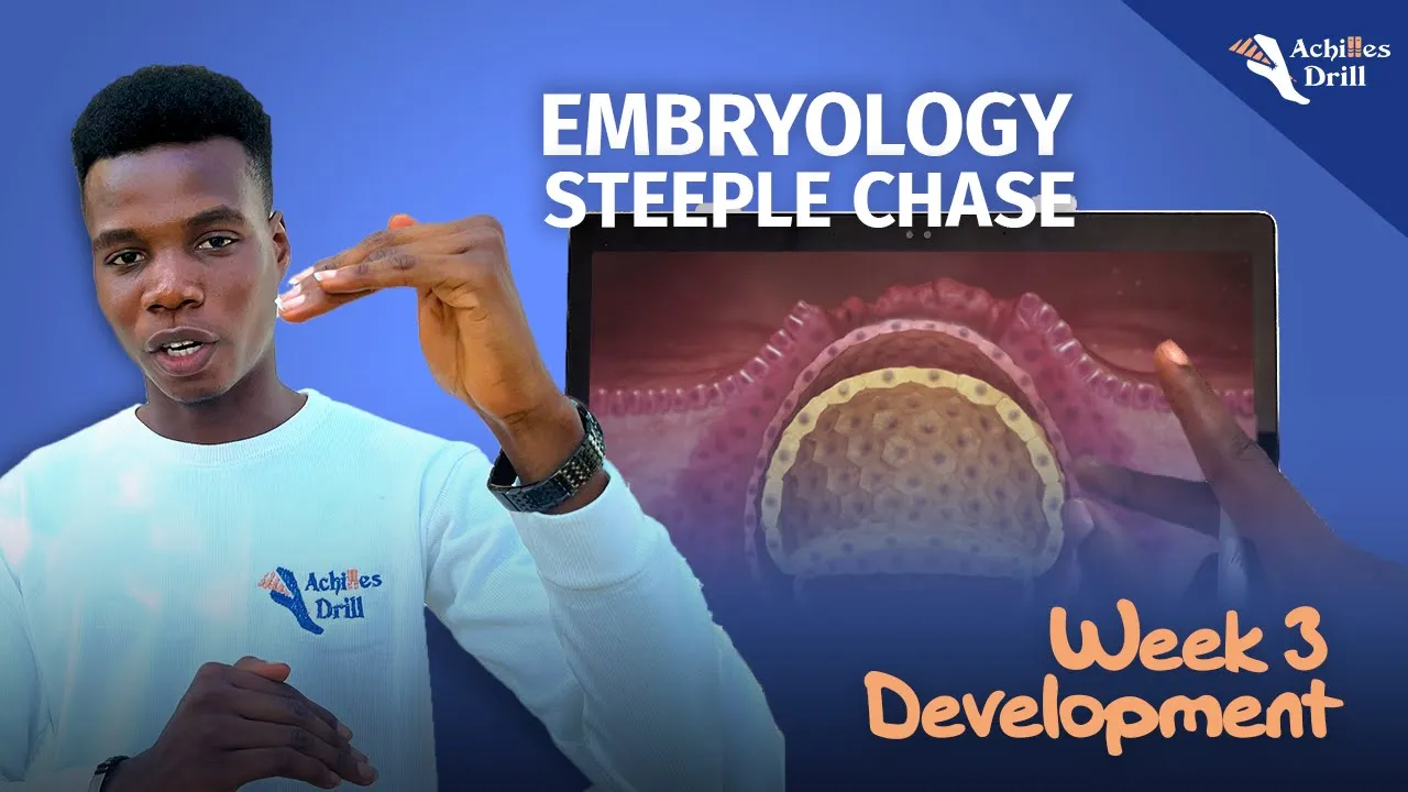3RD WEEK OF DEVELOPMENT (EMBRYOLOGY STEEPLECHASE QUESTIONS)
