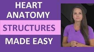 Heart Anatomy: Chambers, Valves, & Structures Nursing Review