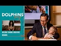 Meet Head Coach Mike McDaniel Dolphins Today