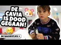 Lagu TOP 10 MANIEREN OM UIT SCHOOL TE GAAN! - De Bakkertjes #301