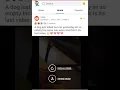 How to live stream on reddit and get the biggest audience you ll ever have