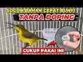 Lagu CARA ALAMI NAIKAN BIRAHI SOGON❗TANPA DOPING LEBIH AMAN \u0026 RAJIN BUNYI❗