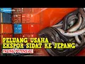 Download Lagu PELUANG USAHA EKSPOR SIDAT KE JEPANG - PALING POTENSIAL!