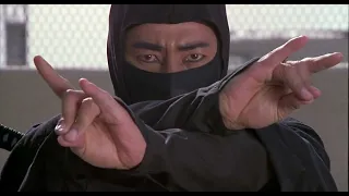 Sho Kosugi Vs Silver Ninja Recut 