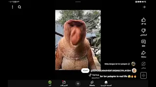 بر بر بتابيم حقيقي   دندنها