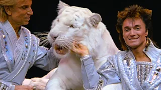 Siegfried Roy How It Really Happened