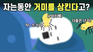 사람은 자면서 1년에 평균 8마리의 거미를 삼킨다고?