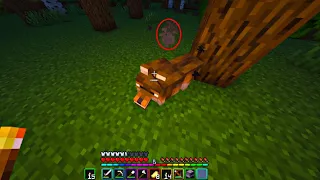 ENCONTRÉ UN LOBITO SOLO DE MADRUGADA... DIARIALAND #8