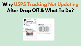 Why USPS Tracking Not Updating After Drop Off What To Do