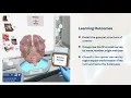 The Peripheral Nervous System Create a model of the nervous system Virtual Lab