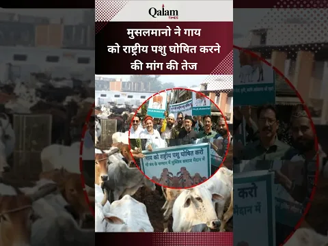मुसलमानो ने गाय को राष्ट्रीय पशु घोषित करने की मांग की तेज #musalman #muslim #गाय #nationalanimal