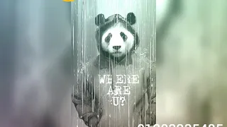 حاله واتس انت ابتاديت وانا ابتاديت مش مهم مين ابتادا    دندنها