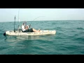 SailFish Madness - Total Chaos