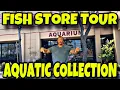 FISH STORE TOUR AQUATIC COLLECTION THE BEST IN THE BAY AREA