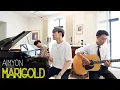 Download Lagu Aimyon (あいみょん) (아이묭) - Marigold (マリーゴールド) (메리골드) (Cover by 베너비 (Venoby))