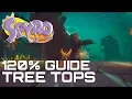 Download Lagu Spyro The Dragon (Reignited) 120% Guide TREE TOPS (ALL GEMS, EGGS, DRAGONS...)