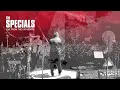 The Specials - Blam Blam Fever (Live From The Cathedral / Visualiser)