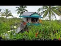 Download Lagu TRANSMIGRASI TERBARU DI KALIMANTAN UTARA, SP 10 DESA TANJUNG BUKA