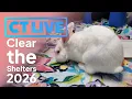 CT LIVE How to adopt a pet during Clear the Shelters 2026 with the Connecticut Humane Society